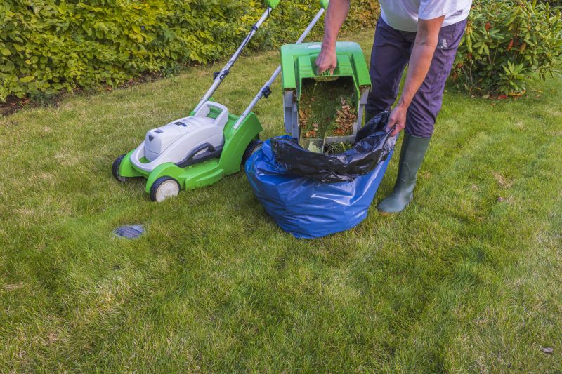 Lawn Clipping Cleanup