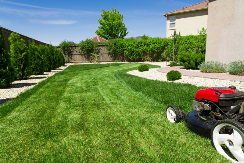 Healthy Lawn After Mowing