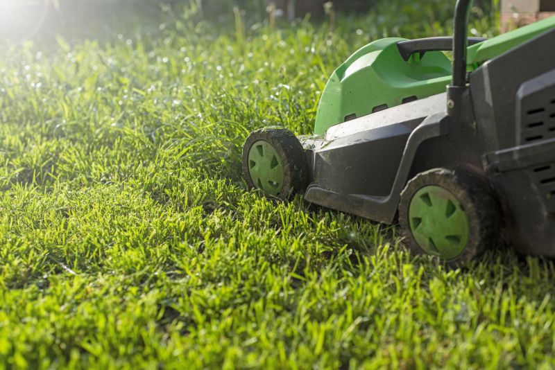 Summer Lawn Maintenance
