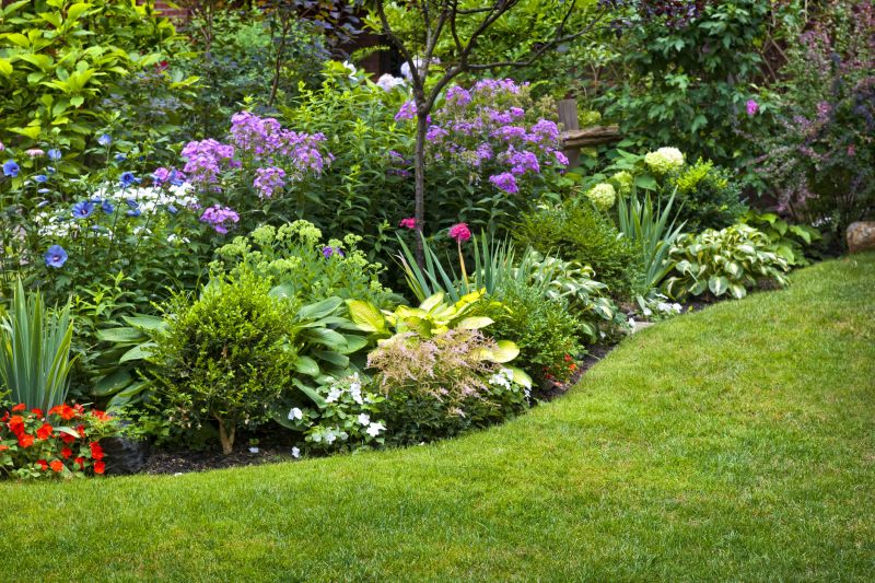 Spring Lawn Care