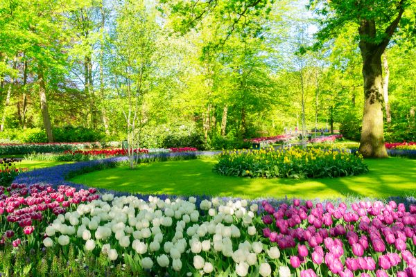 Spring Lawn Care Service