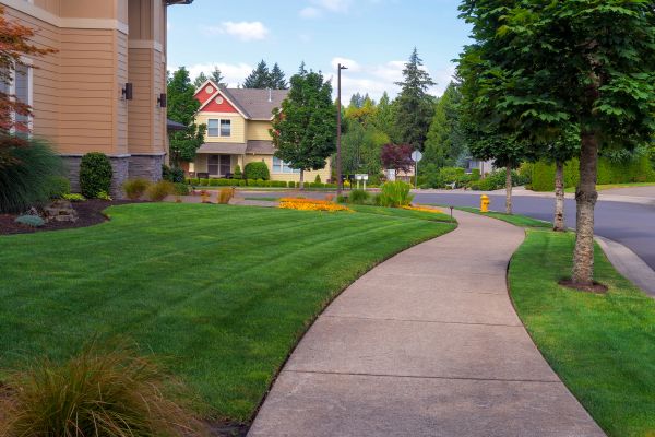Home Lawn Maintenance Service
