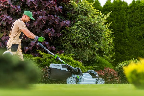 Lawn Management Service