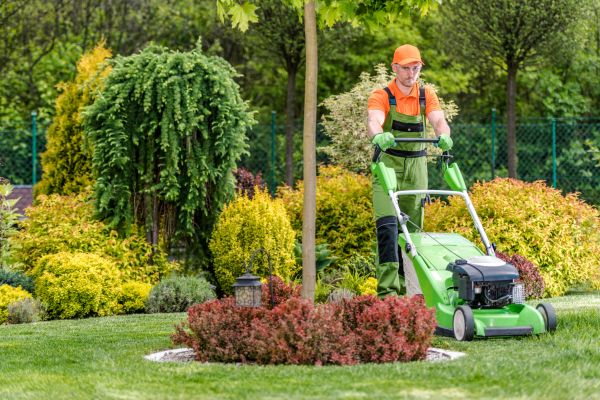 Commercial Yard Maintenance Service