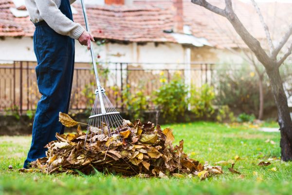 Routine Lawn Maintenance Service