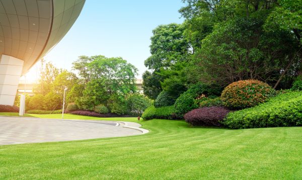 Business Groundskeeping Service