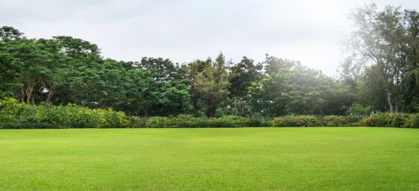 Golf Course Mowing Service